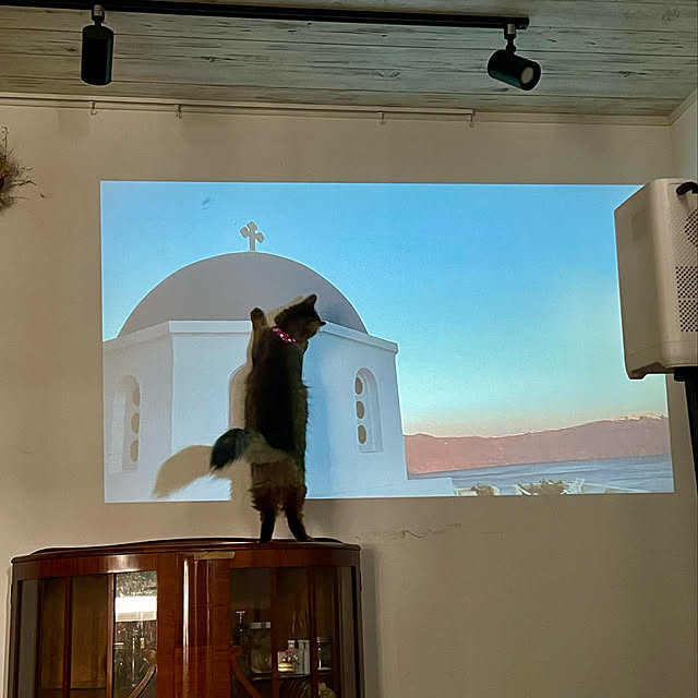 paradise_viewさんの実例写真