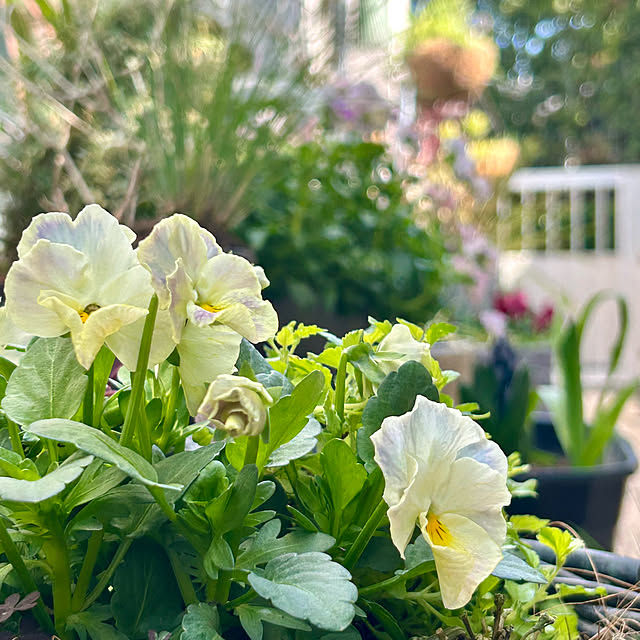 DAYONEさんの実例写真