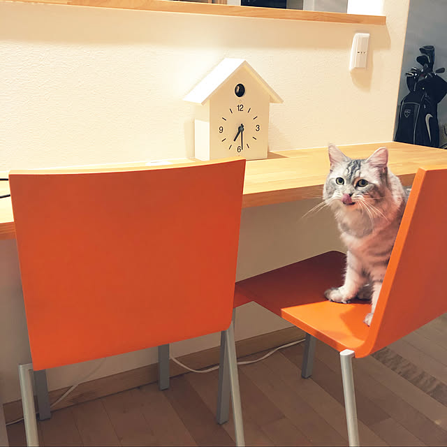 ecopanaさんの実例写真