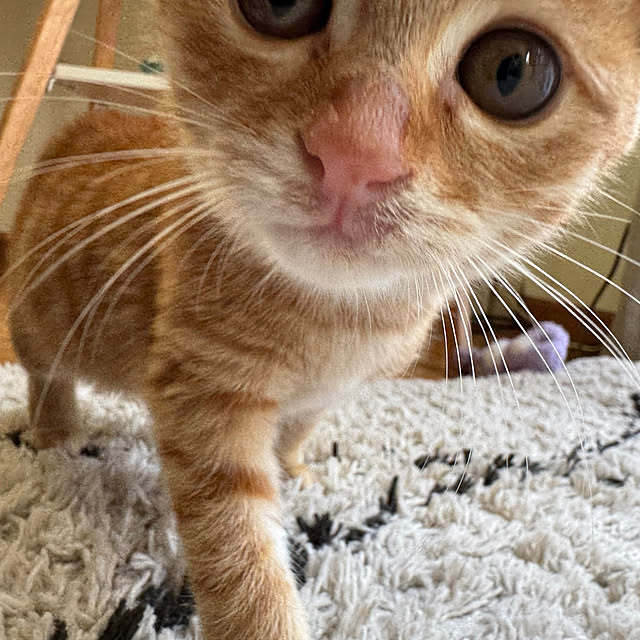 67さんの部屋