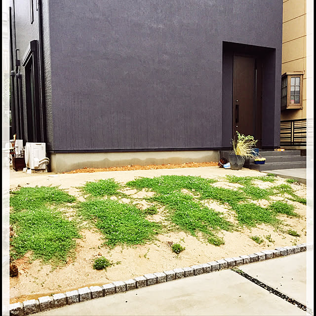 Sakkoさんの実例写真