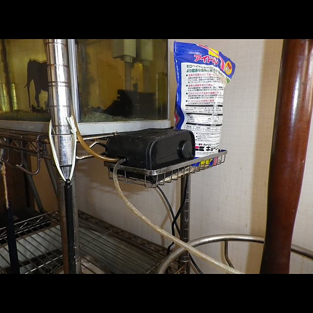 Rehiroさんの実例写真