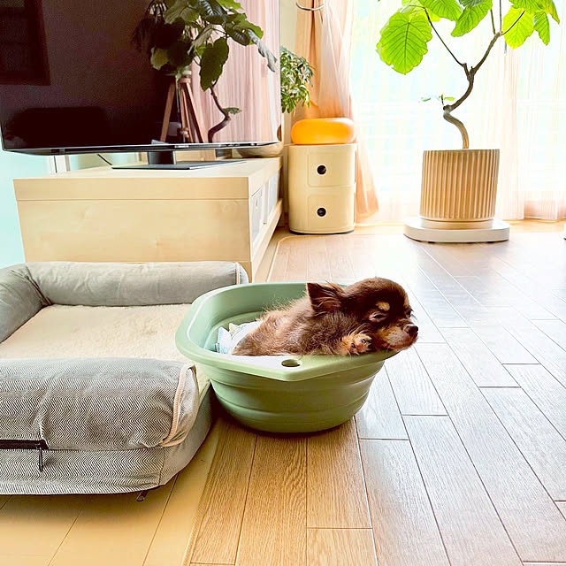 miyuさんの部屋