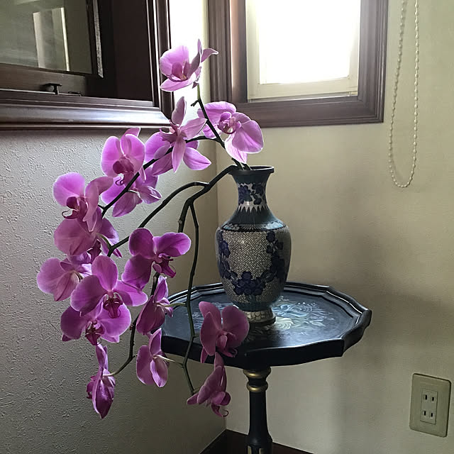 Mamaさんの実例写真