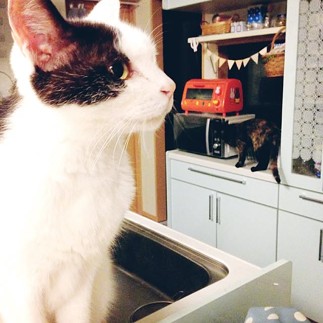 Lunaさんの実例写真