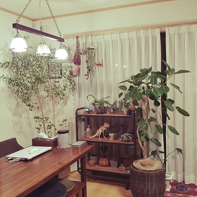 実例写真