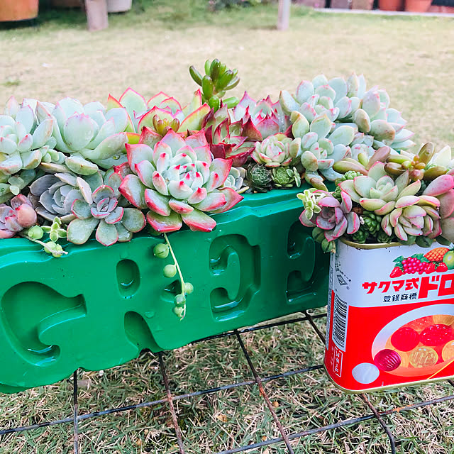 実例写真