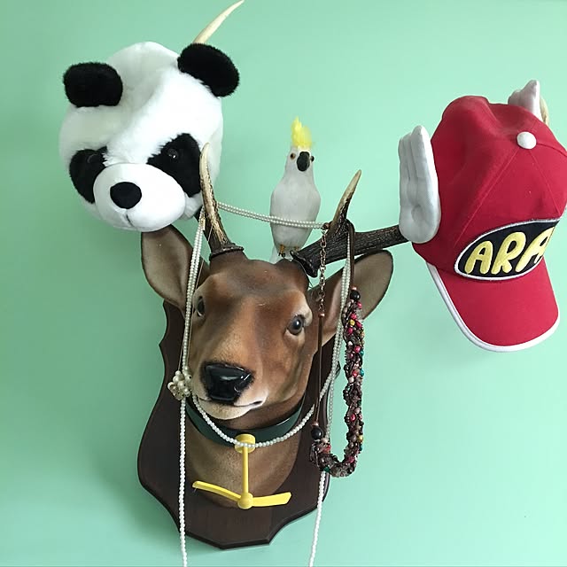 shigimiさんの実例写真