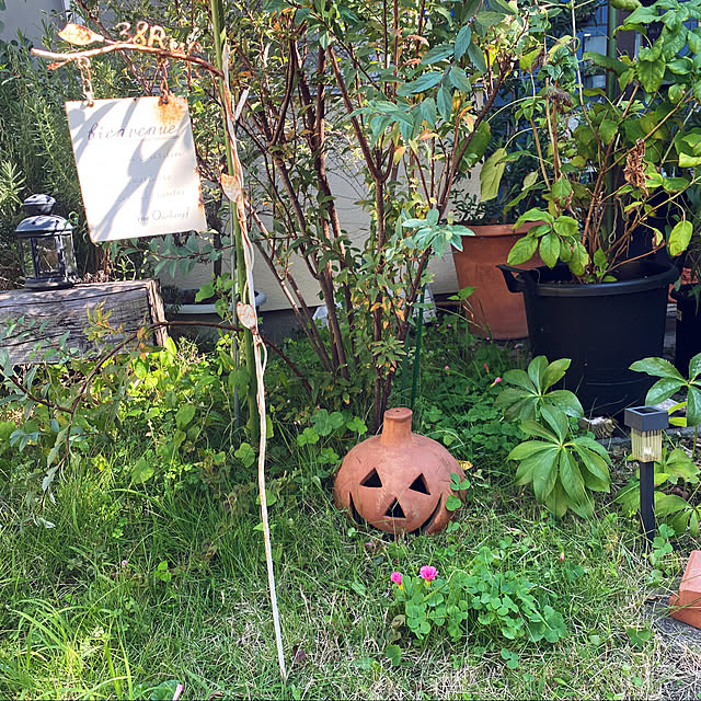 hanaさんの実例写真