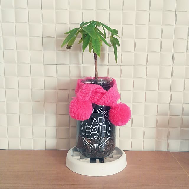 anny_minkさんの実例写真