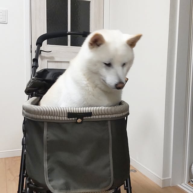 yukinkoさんの実例写真