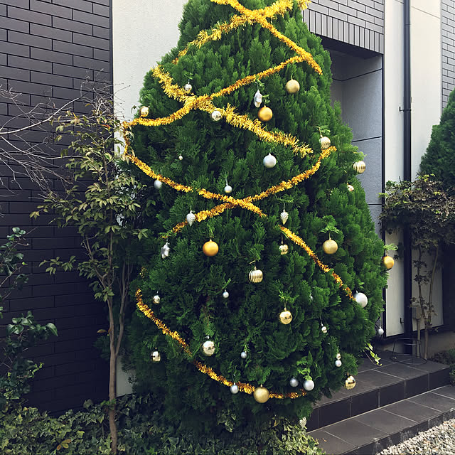 Ayakaさんの実例写真