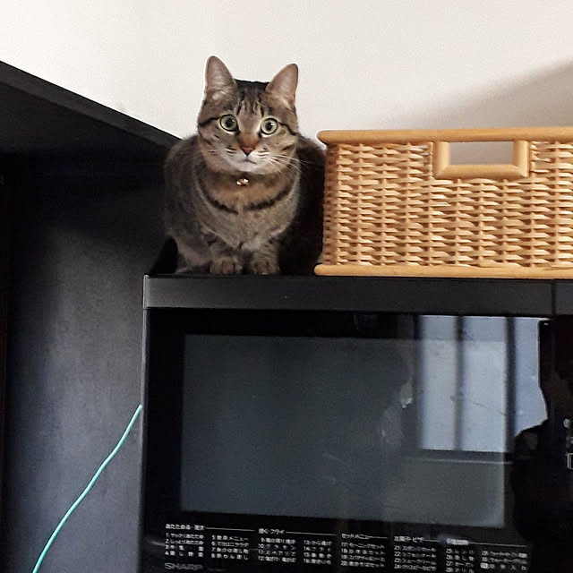 mnさんの実例写真