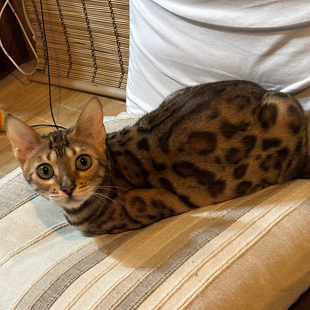 tututu0204さんの部屋