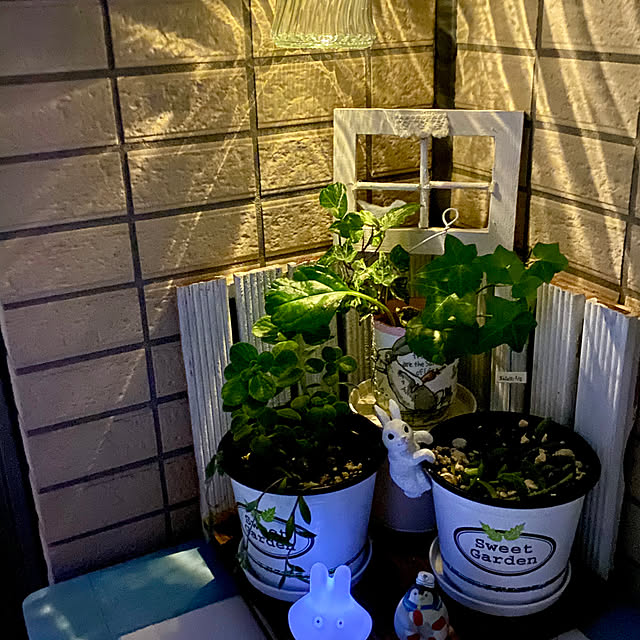 YuuKoさんの部屋