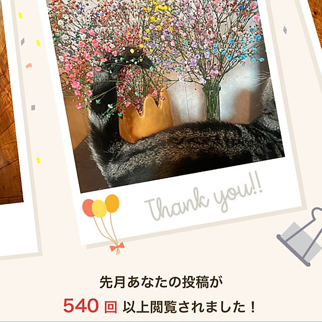 yumiさんの実例写真