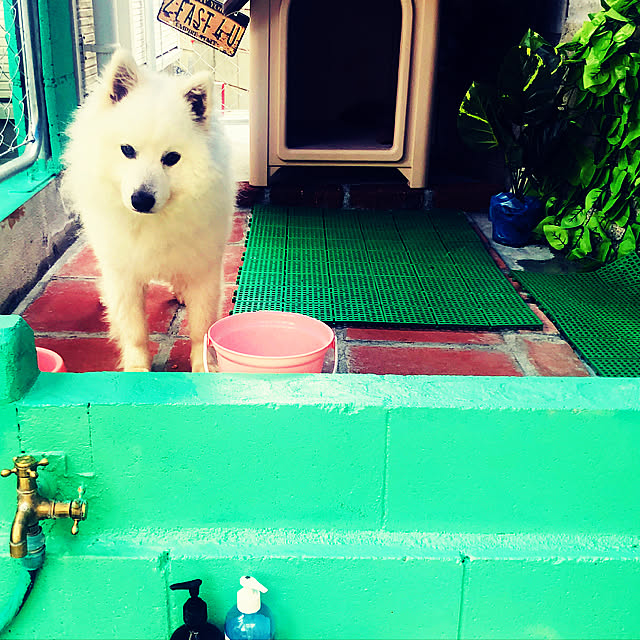 Bluesmanさんの実例写真