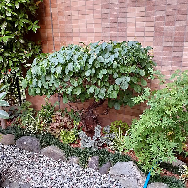 実例写真