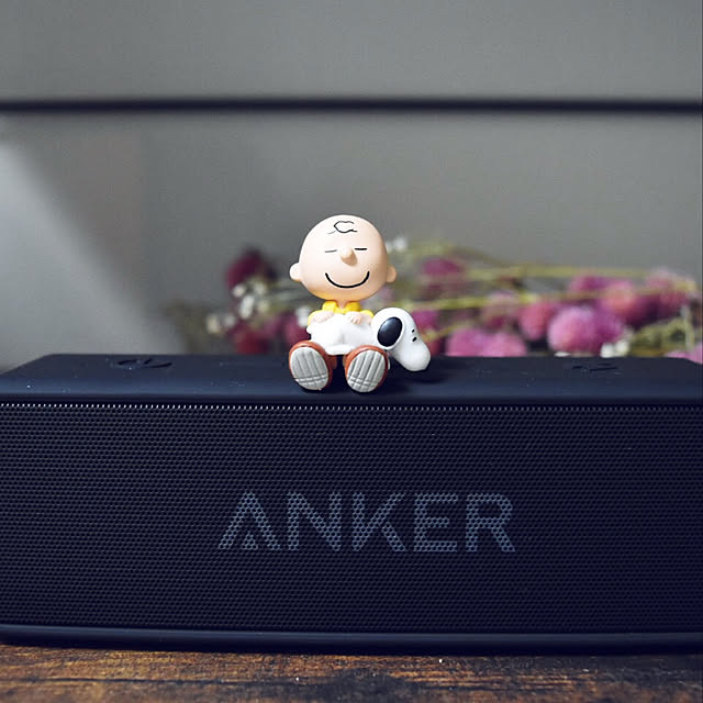 棚/チャーリーブラウン/スヌーピー/ANKER/スピーカー...などのインテリア実例 - 2017-11-27 00:03:47