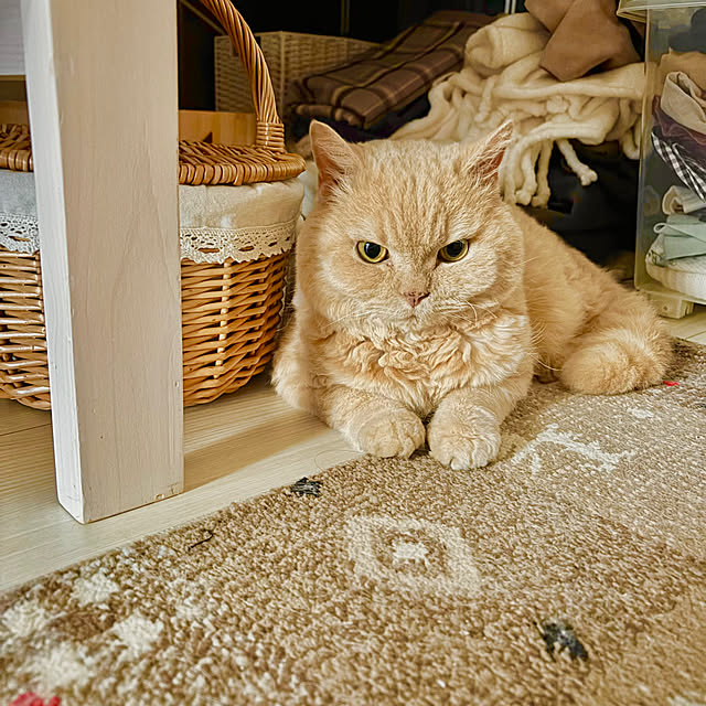 naokoさんの部屋
