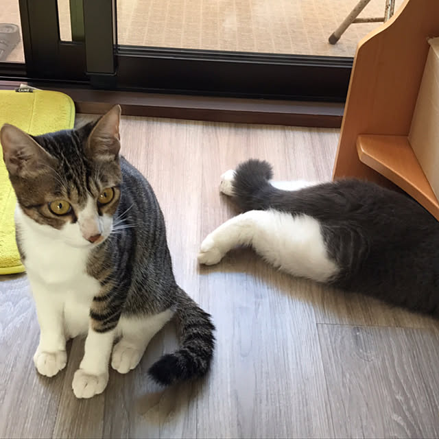 実例写真