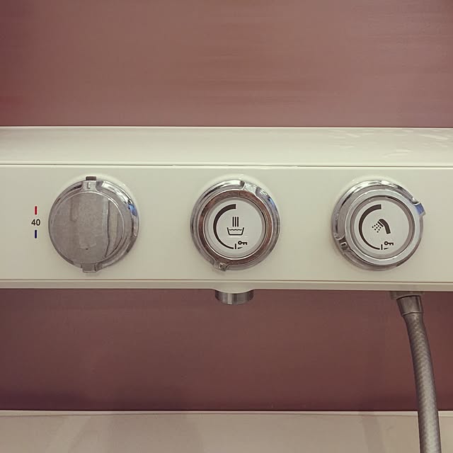 holicさんの実例写真