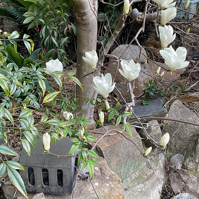 tmk18さんの実例写真