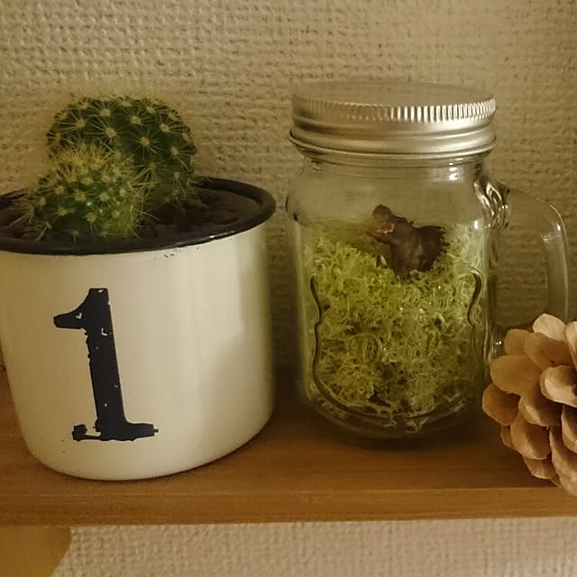 ventaさんの実例写真