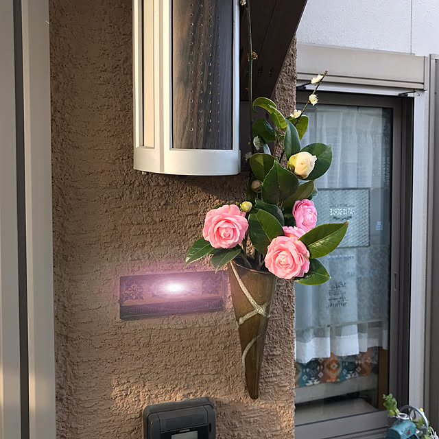 portulacaさんの実例写真
