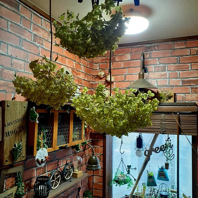 naoporonさんの部屋