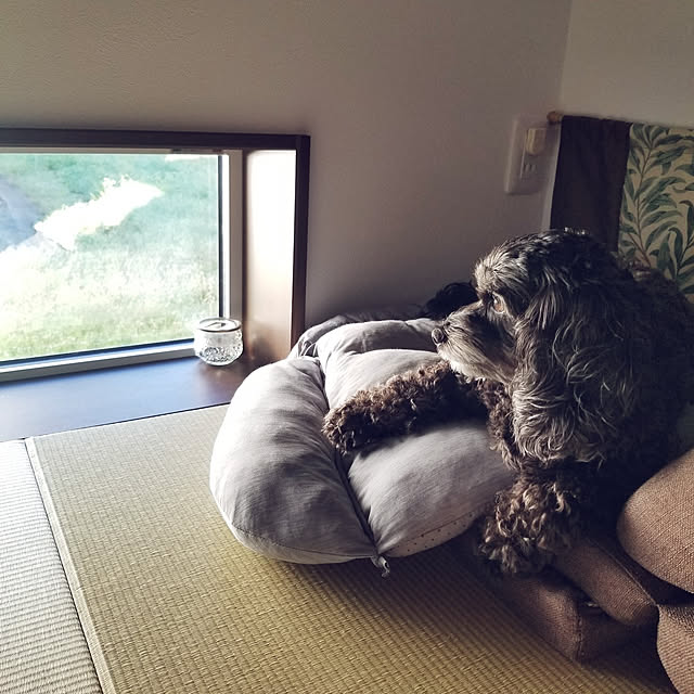 shimaaadsさんの実例写真