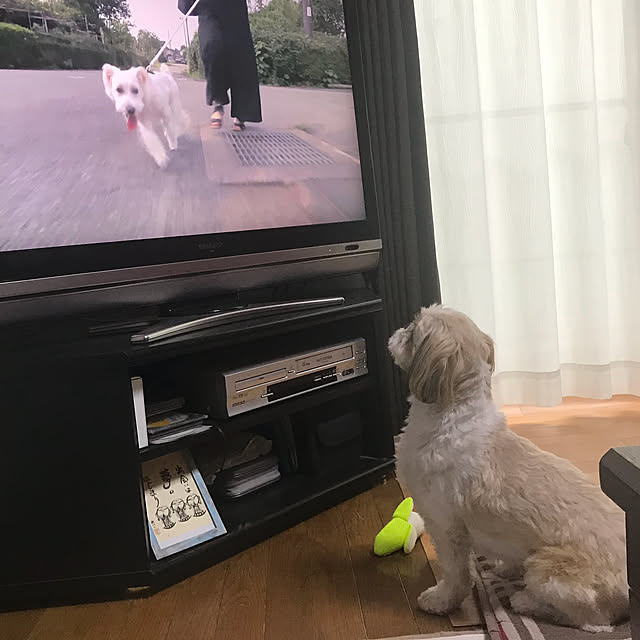 Yuさんの実例写真
