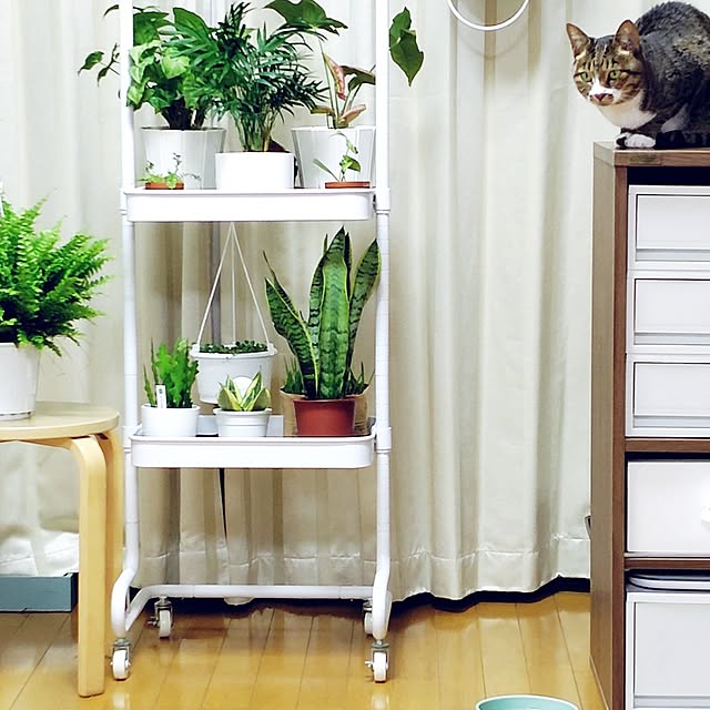 nachiさんの部屋