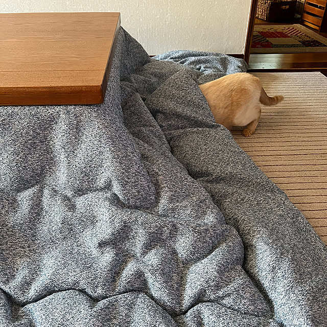 mohhaさんの部屋