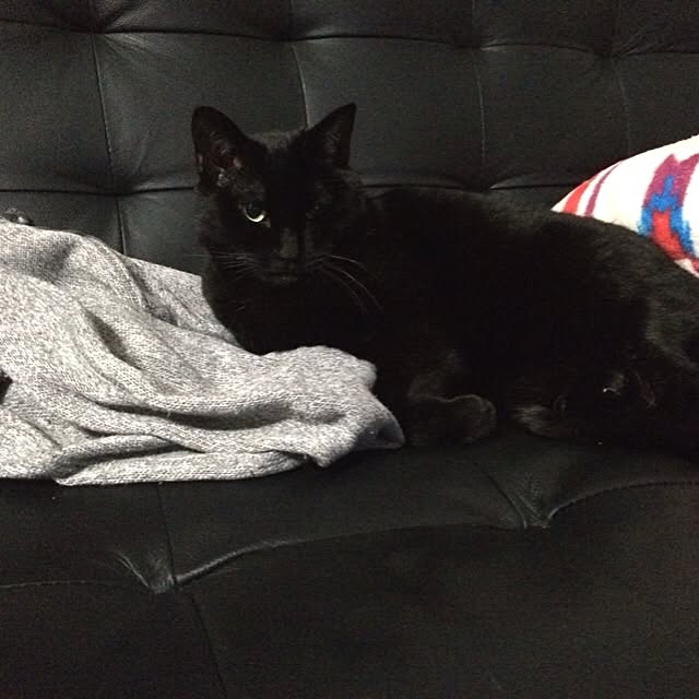 maiさんの実例写真
