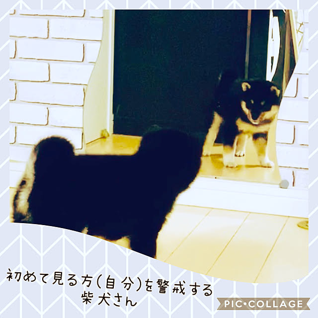 mo-nosukeさんの実例写真