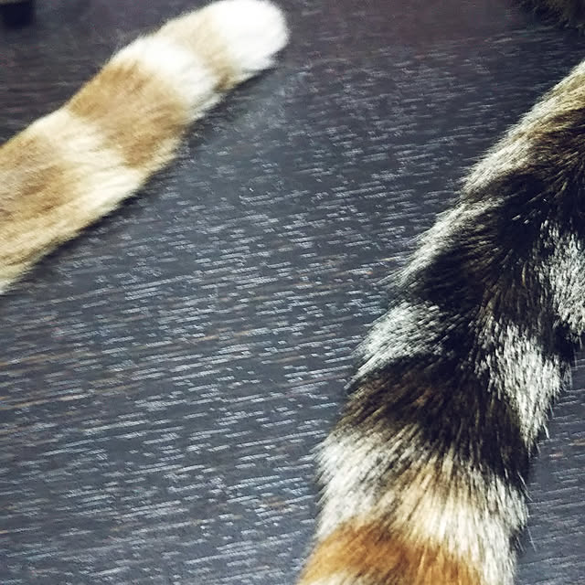 runaさんの実例写真