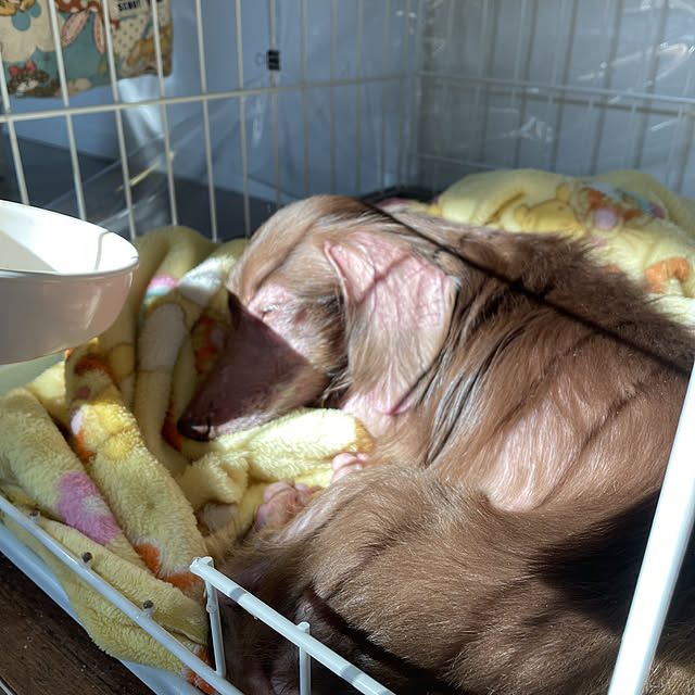 asさんの実例写真