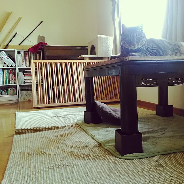 otubuさんの実例写真