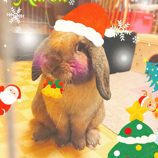 mariaさんの実例写真