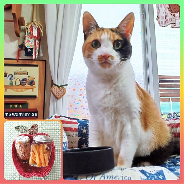 nanaさんの実例写真