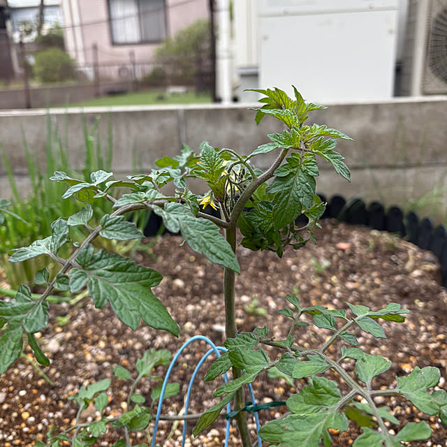 minakodeenさんの実例写真