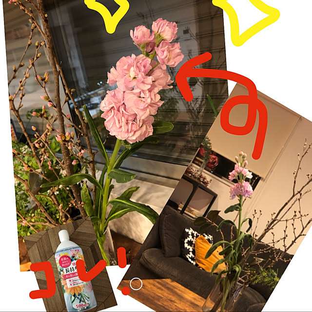 t.k.mさんの実例写真