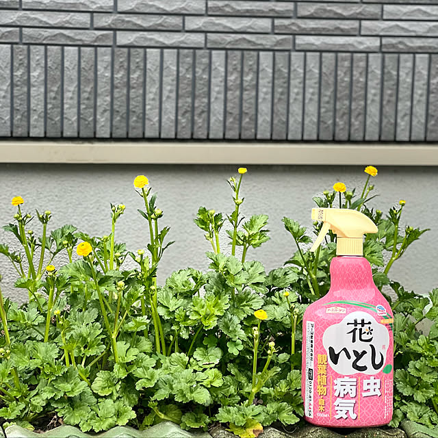 rerunさんの実例写真