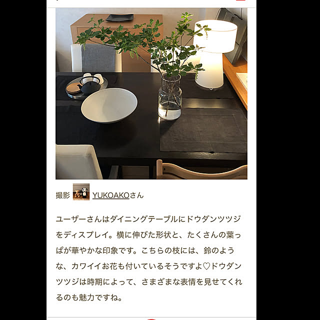 YUKOAKOさんの実例写真