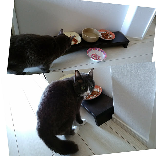 azumonaさんの実例写真