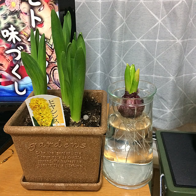 chobihigeさんの実例写真