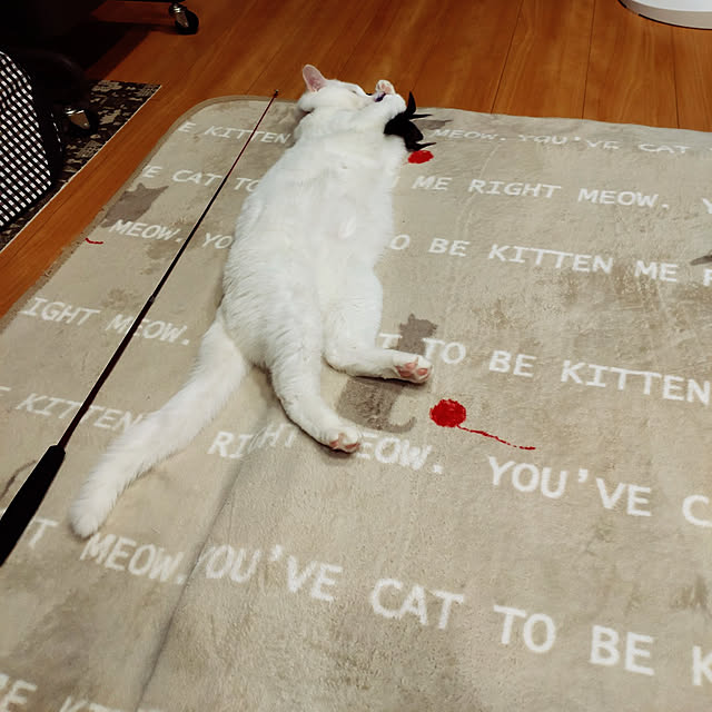 lelielさんの実例写真