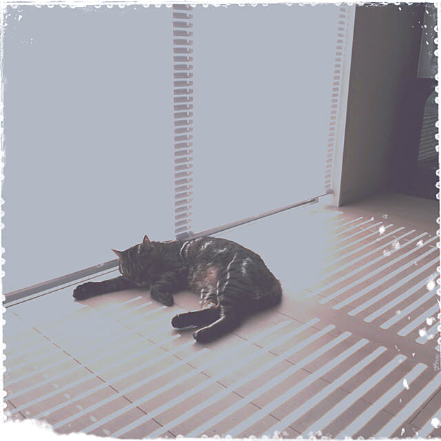 nodokaさんの実例写真