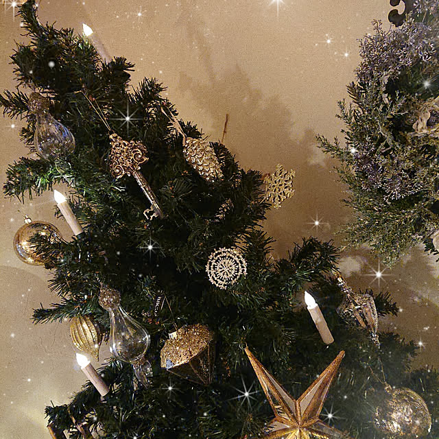 Ohigeさんの実例写真